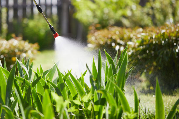 24/7 Emergency Mosquito Control experts in Kingfisher, OK